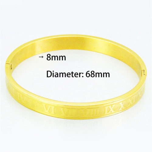 BaiChuan Wholesale Stainless Steel 316L Popularity Bangle NO.#BC42B0016OL