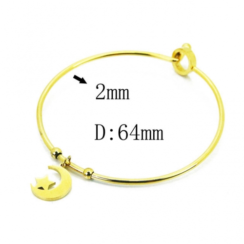 Wholesale Stainless Steel 316L Popularity Bangle NO.#BC58B0481LL