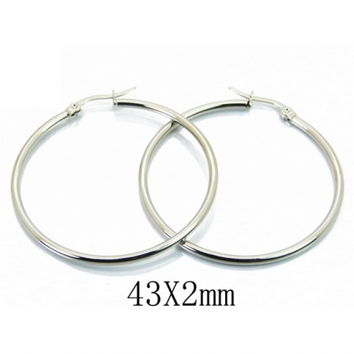 BC Jewelry Wholesale Stainless Steel 316L Earrings NO.#BC21E0108HJ