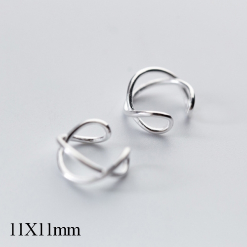 BC Jewelry Wholesale 925 Silver Jewelry Earrings NO.#925J5E2955