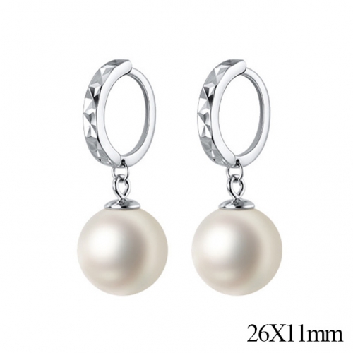 BC Jewelry Wholesale 925 Silver Jewelry Earrings NO.#925J5E5522