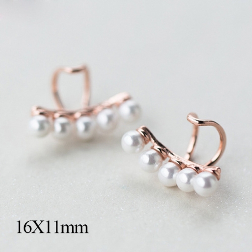 BC Jewelry Wholesale 925 Silver Jewelry Earrings NO.#925J5RE3890