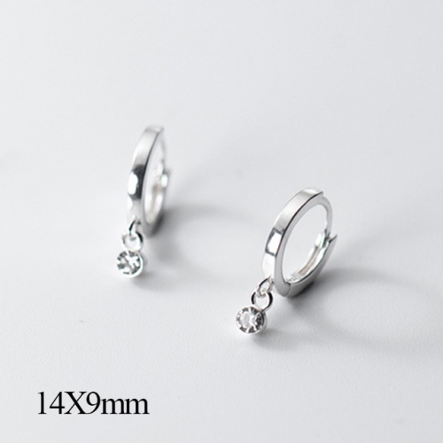 BC Jewelry Wholesale 925 Silver Jewelry Earrings NO.#925J5SM00063