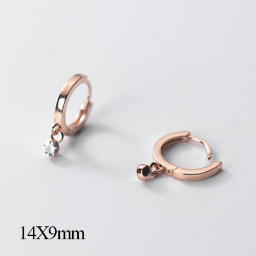 BC Jewelry Wholesale 925 Silver Jewelry Earrings NO.#925J5RM00063