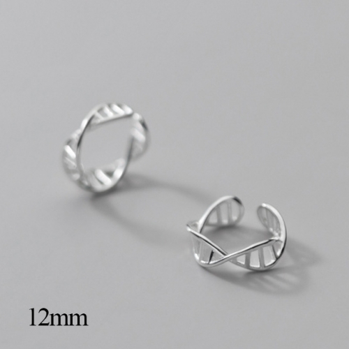 BC Jewelry Wholesale 925 Silver Jewelry Earrings NO.#925J5SG8064