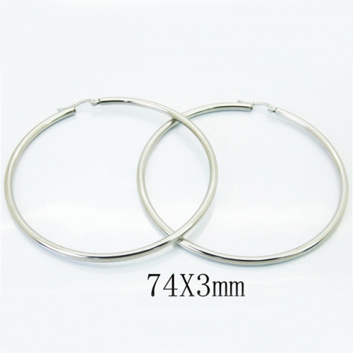 BC Jewelry Wholesale Stainless Steel 316L Earrings NO.#BC58E1489JL