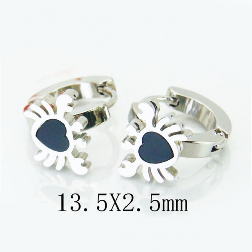 BC Jewelry Wholesale Stainless Steel 316L Earrings NO.#BC60E0439JR
