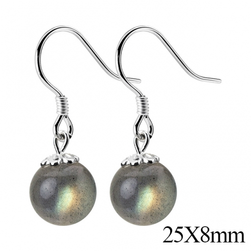 BC Jewelry Wholesale 925 Silver Jewelry Earrings NO.#925J5E9229