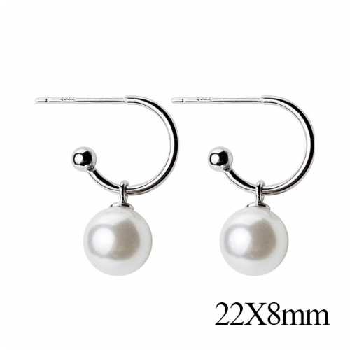 BC Jewelry Wholesale 925 Silver Jewelry Earrings NO.#925J5E6475