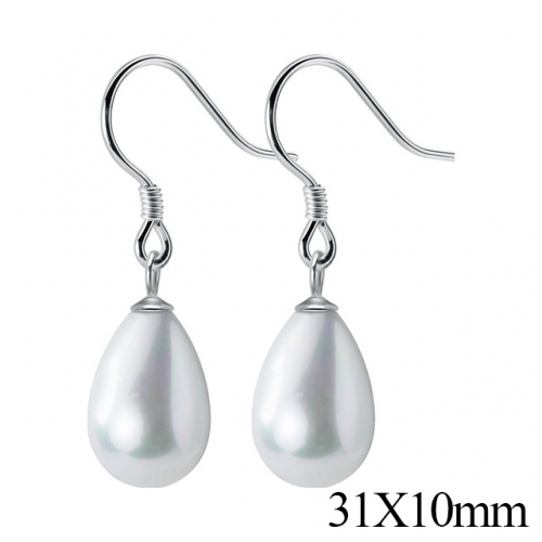 BC Jewelry Wholesale 925 Silver Jewelry Earrings NO.#925J5MEG2313