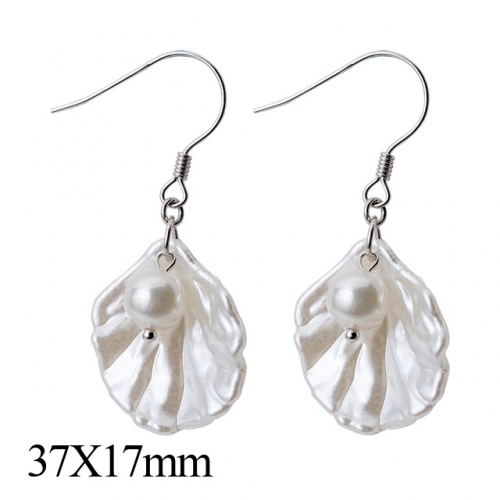 BC Jewelry Wholesale 925 Silver Jewelry Earrings NO.#925J5E7117