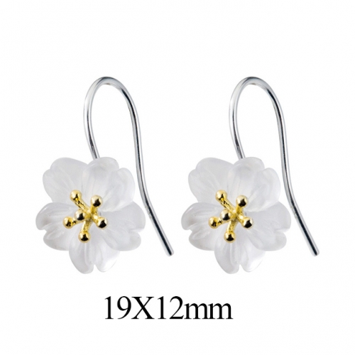 BC Jewelry Wholesale 925 Silver Jewelry Earrings NO.#925J5E6351