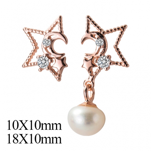 BC Jewelry Wholesale 925 Silver Jewelry Earrings NO.#925J5E9751