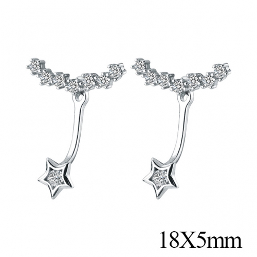 BC Jewelry Wholesale 925 Silver Jewelry Earrings NO.#925J5SEG0175