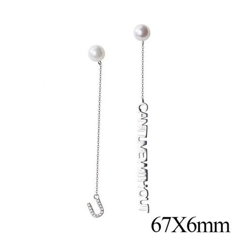 BC Jewelry Wholesale 925 Silver Jewelry Earrings NO.#925J5E6139