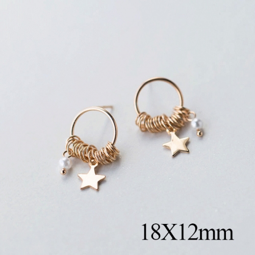 BC Jewelry Wholesale 925 Silver Jewelry Fashion Earrings NO.#925J5E4351