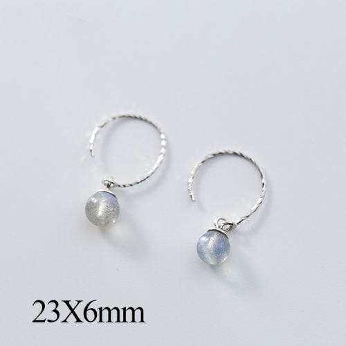 BC Jewelry Wholesale 925 Silver Jewelry Fashion Earrings NO.#925J5EG0106