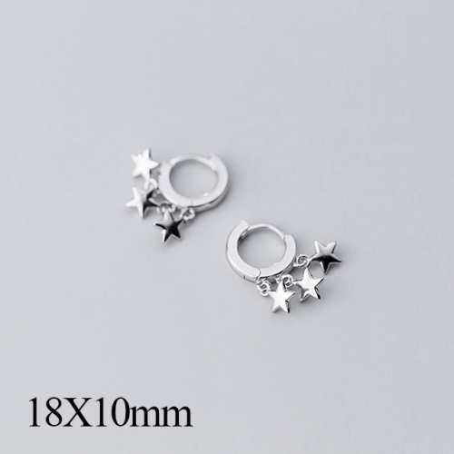 BC Jewelry Wholesale 925 Silver Jewelry Fashion Earrings NO.#925J5SEG2079