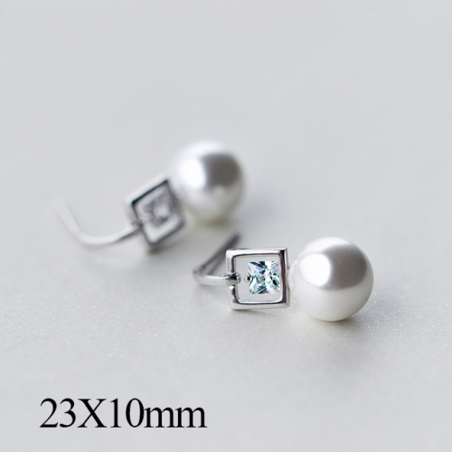 BC Jewelry Wholesale 925 Silver Jewelry Fashion Earrings NO.#925J5E2495