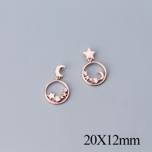 BC Jewelry Wholesale 925 Silver Jewelry Fashion Earrings NO.#925J5REG2160