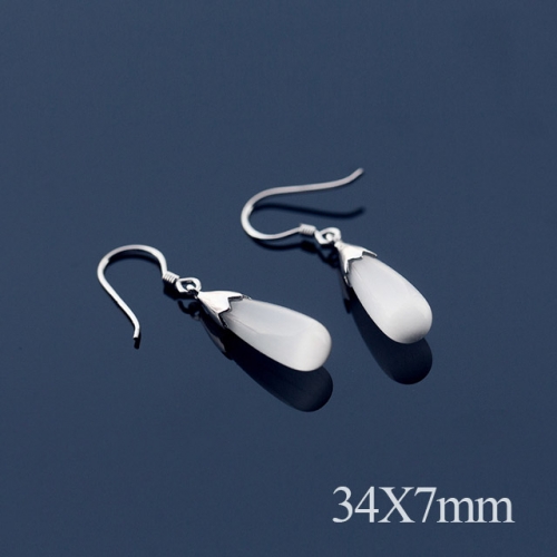 BC Jewelry Wholesale 925 Silver Jewelry Fashion Earrings NO.#925J5E3173