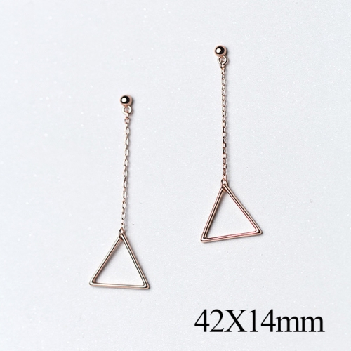 BC Jewelry Wholesale 925 Silver Jewelry Fashion Earrings NO.#925J5E6083