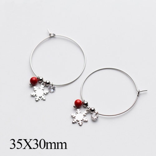 BC Jewelry Wholesale 925 Silver Jewelry Fashion Earrings NO.#925J5E8035