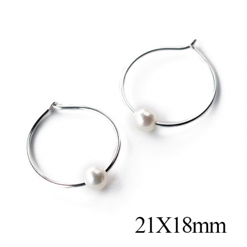 BC Jewelry Wholesale 925 Silver Jewelry Fashion Earrings NO.#925J5E3828