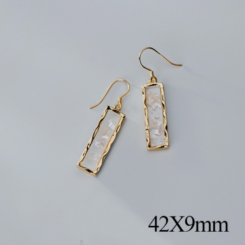 BC Jewelry Wholesale 925 Silver Jewelry Fashion Earrings NO.#925J5GEG2761