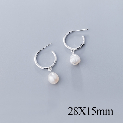 BC Jewelry Wholesale 925 Silver Jewelry Fashion Earrings NO.#925J5SEG1261