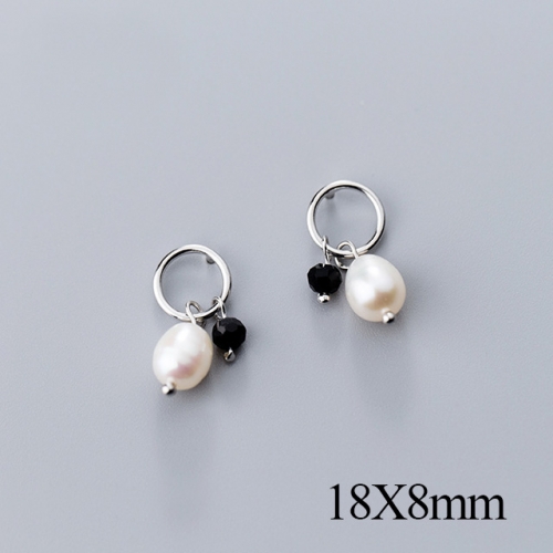 BC Jewelry Wholesale 925 Silver Jewelry Fashion Earrings NO.#925J5EG0880