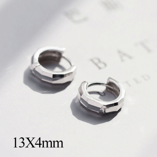 BC Jewelry Wholesale 925 Silver Jewelry Fashion Earrings NO.#925J5E4554