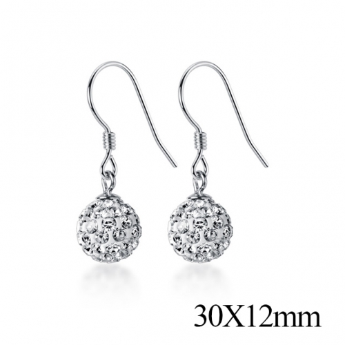 BC Jewelry Wholesale 925 Silver Jewelry Fashion Earrings NO.#925J5LEG1283