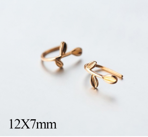 BC Jewelry Wholesale 925 Silver Jewelry Fashion Earrings NO.#925J5GE2428
