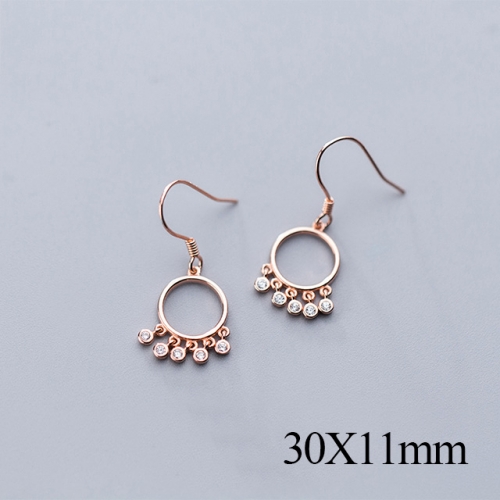 BC Jewelry Wholesale 925 Silver Jewelry Fashion Earrings NO.#925J5REG1544