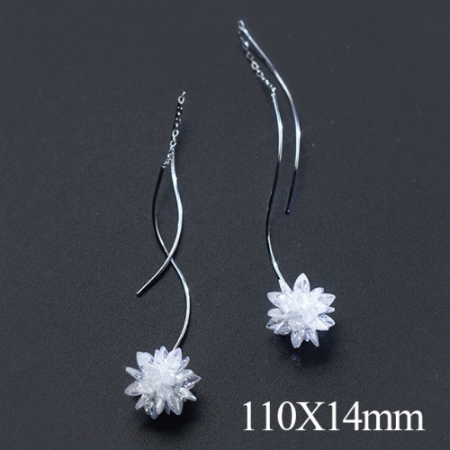 BC Jewelry Wholesale 925 Silver Jewelry Fashion Earrings NO.#925J5E5587