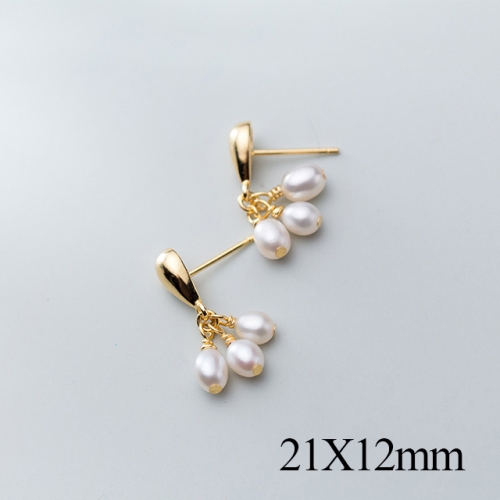 BC Jewelry Wholesale 925 Silver Jewelry Fashion Earrings NO.#925J5GEG2668