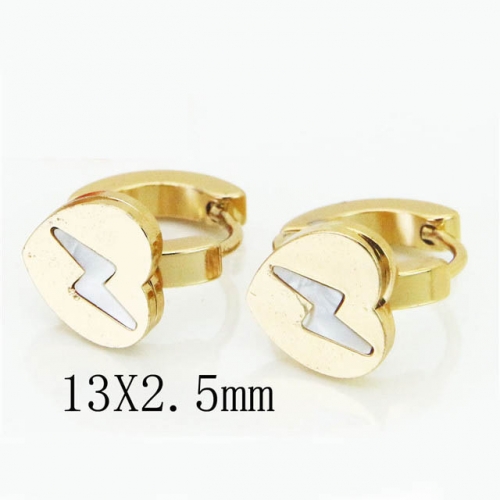 BC Jewelry Wholesale Stainless Steel 316L Popular Earrings NO.#BC60E0479JJU