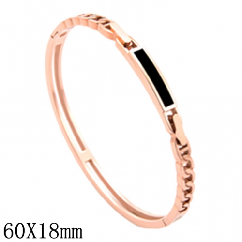 BC Wholesale Jewelry Stainless Steel 316L Hot Sale Bangles NO.#SJ52BS021