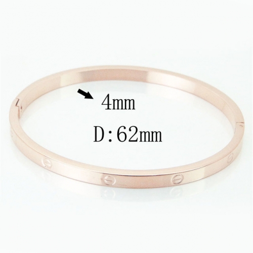 BC Wholesale Stainless Steel 316L Fashion Bangle NO.#SJ60B0249OQ