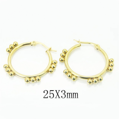 BC Earrings Jewelry Wholesale Stainless Steel 316L Earrings NO.#BC58E1632KW