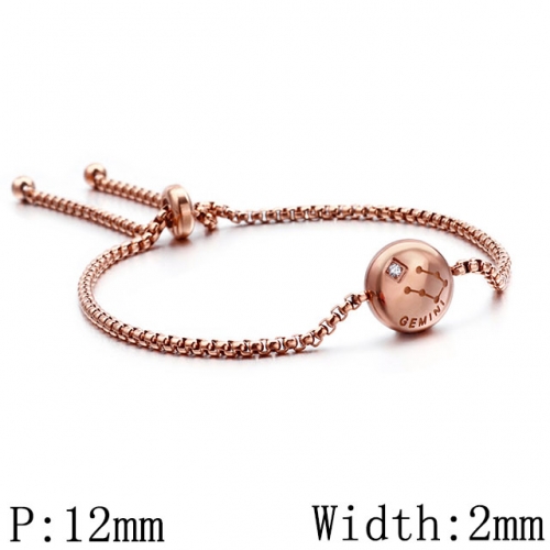 BC Wholesale Jewelry Stainless Steel 316L Constellation Bracelets NO.#SJ53B120322