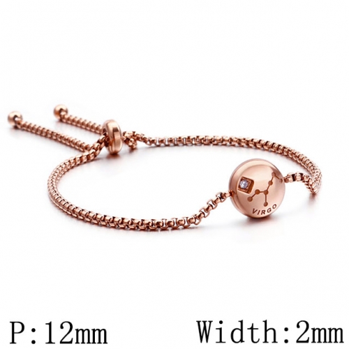 BC Wholesale Jewelry Stainless Steel 316L Constellation Bracelets NO.#SJ53B120324