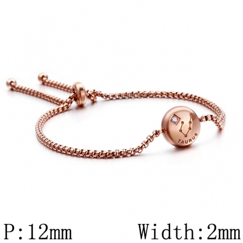 BC Wholesale Jewelry Stainless Steel 316L Constellation Bracelets NO.#SJ53B120330