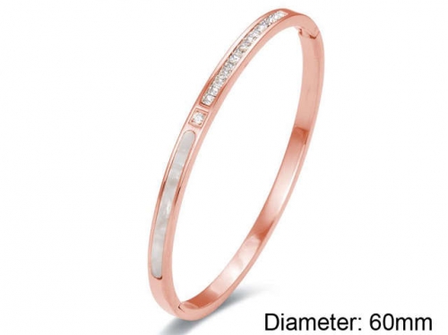 BC Wholesale Bangles Jewelry Stainless Steel 316L Bangles NO.#SJ85B0454