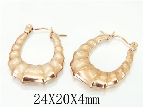 BC Wholesale Earrings Jewelry Stainless Steel 316L Earrings NO.#BC70E0578LF