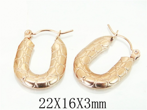 BC Wholesale Earrings Jewelry Stainless Steel 316L Earrings NO.#BC70E0573LC