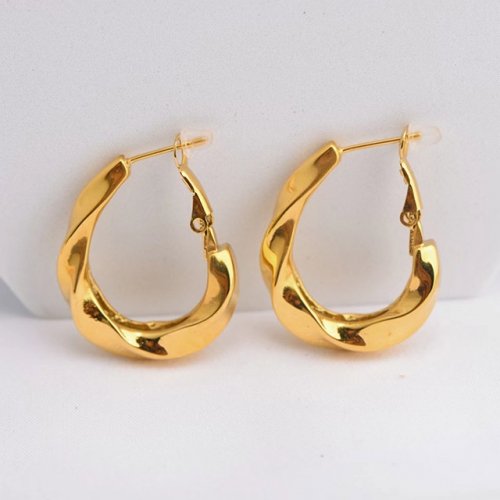 BC Wholesale Earrings Jewelry Stainless Steel 316L Popular Earrings NO.#SJ47E022