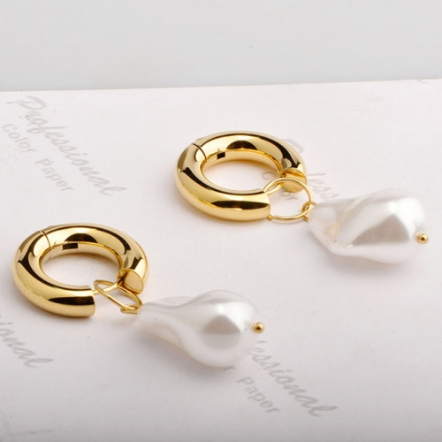 BC Wholesale Earrings Jewelry Stainless Steel 316L Popular Earrings NO.#SJ47E16