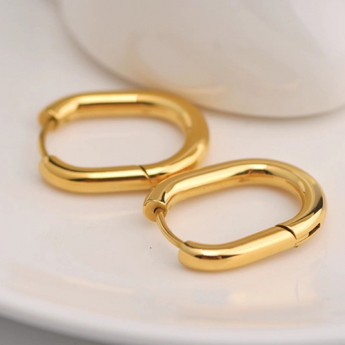 BC Wholesale Earrings Jewelry Stainless Steel 316L Popular Earrings NO.#SJ47E028